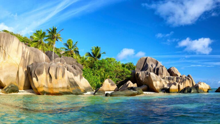 the seychelles psychological society 768x432