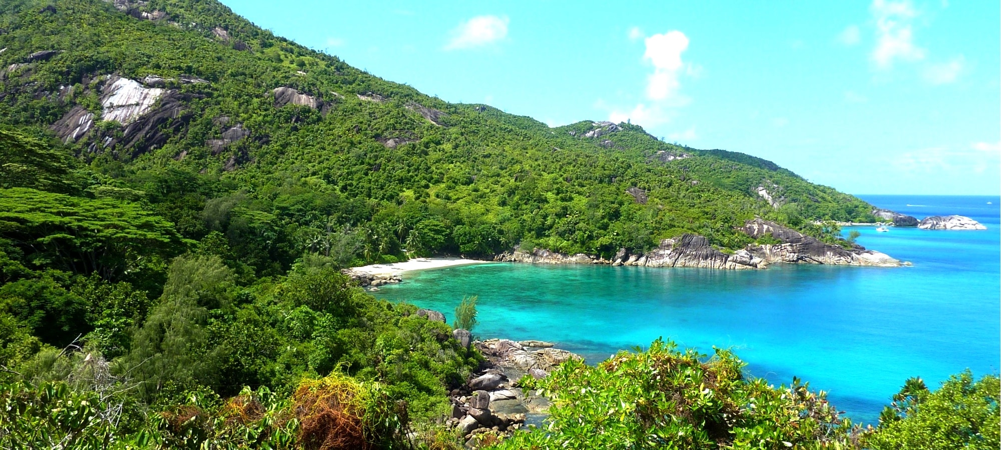 the seychelles table tennis association stta