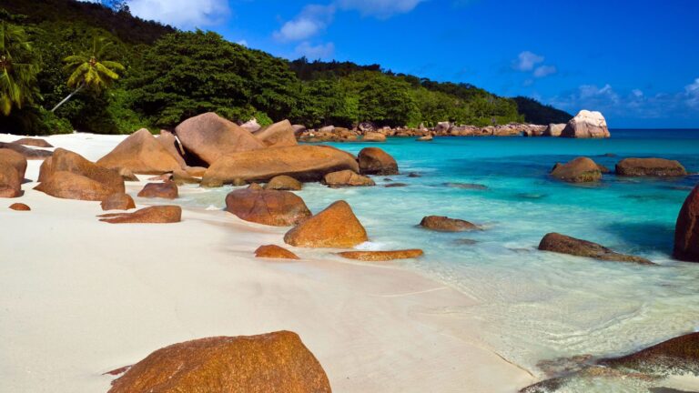 Profile the virtuous women seychelles 768x432