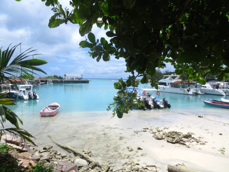 the wharf hotel marina 768x576