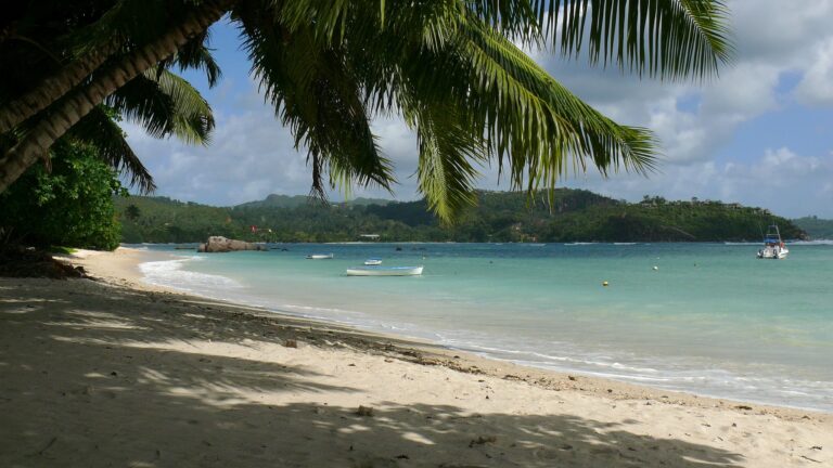 therese zita belmont 768x432