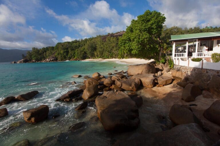 top gears pty limited 768x512