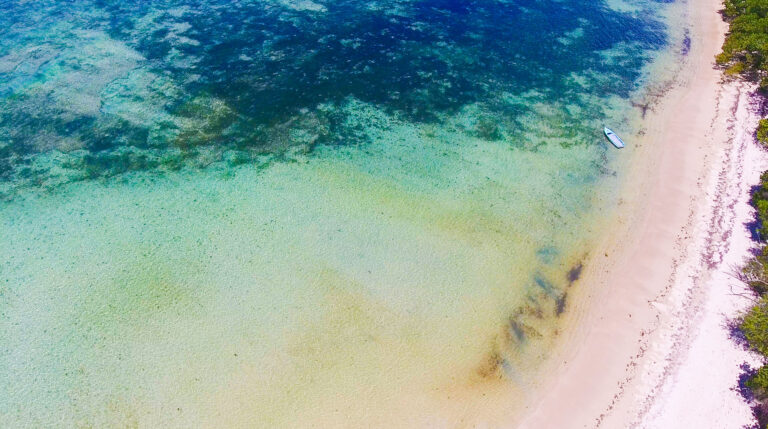 topcare investment 768x429