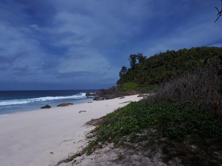 tourterellle holiday home 768x576