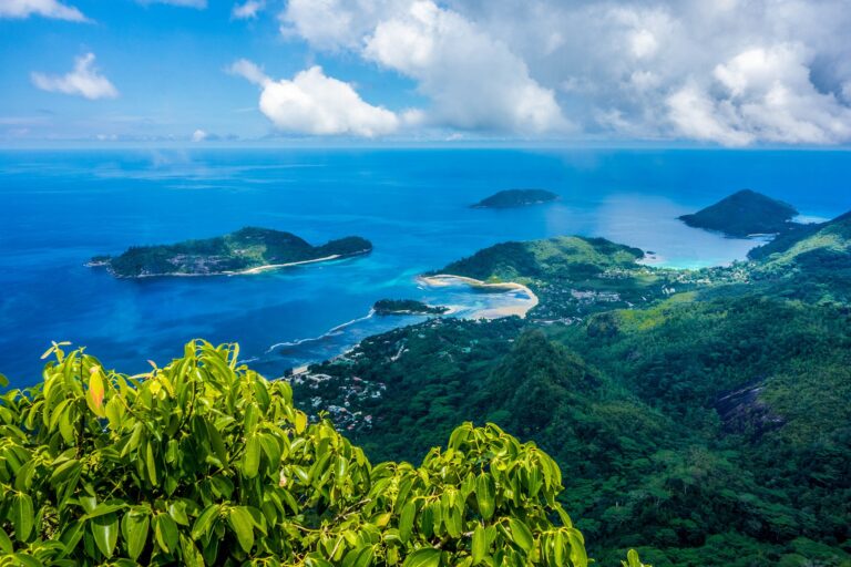 trading food and taste pty ltd 768x512