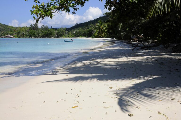 tropical yacht limited 768x510