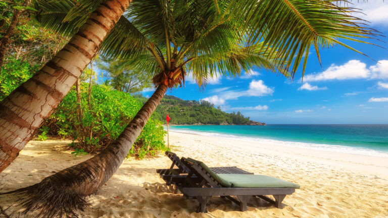 tropicbird limited 768x432