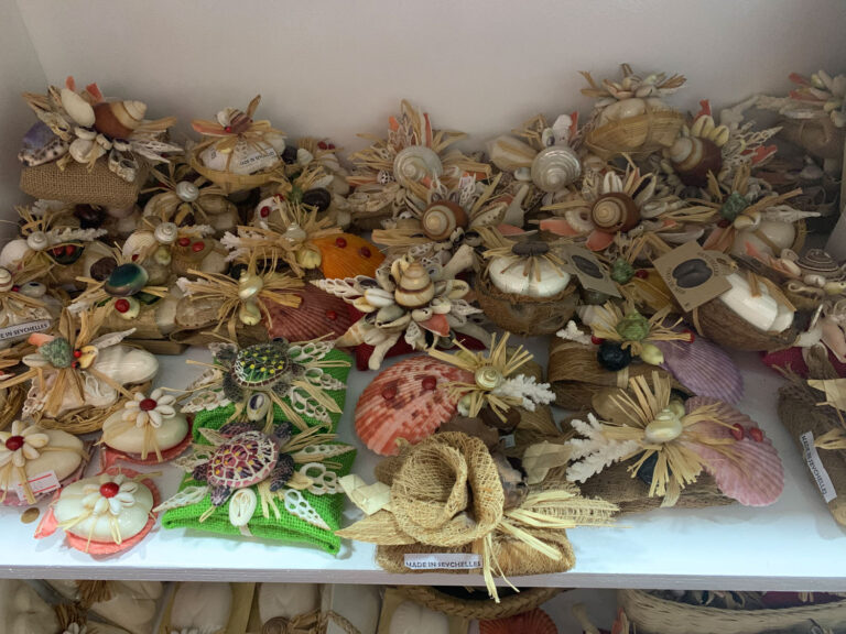 un youth seychelles 768x576