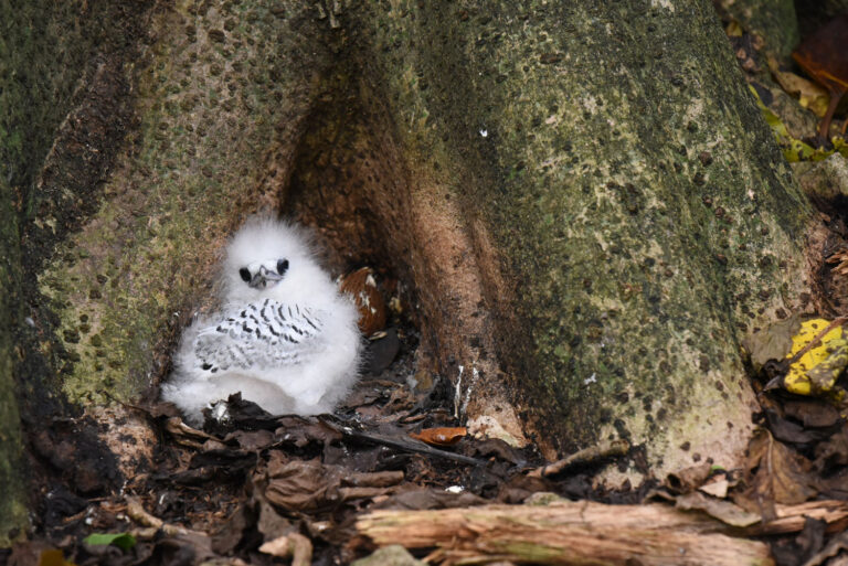 united boat charter proprietary limited 768x513