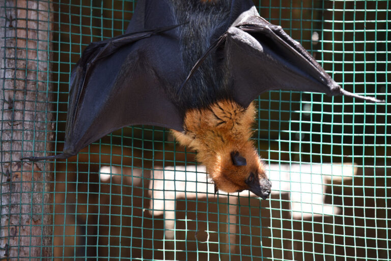 united concrete products sey ltd 768x513