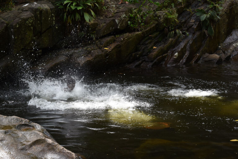 universal money changer 768x513