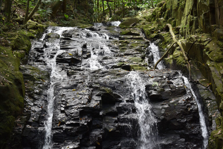 universal transport com pty ltd 768x513