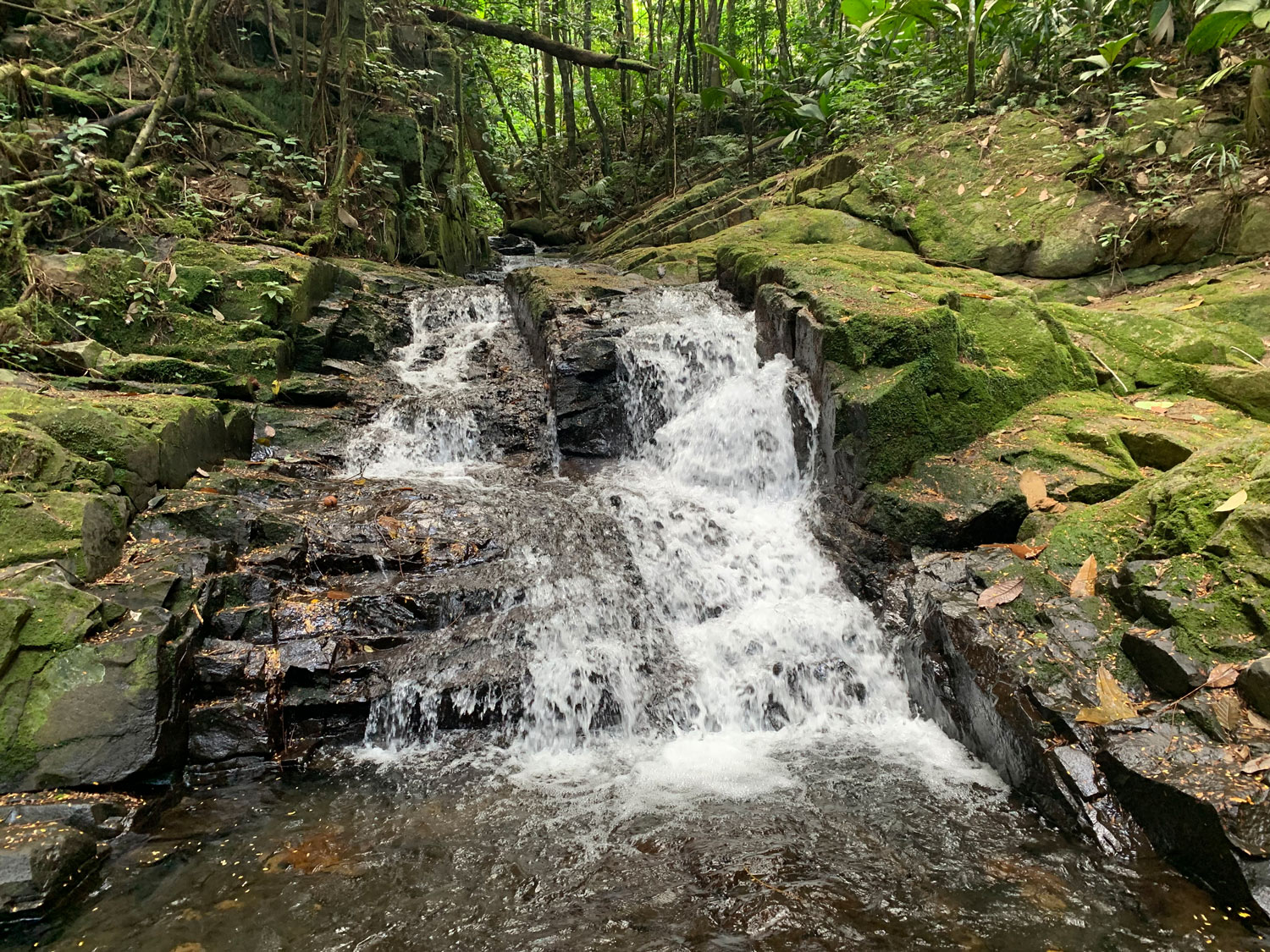 urban adventures seychelles