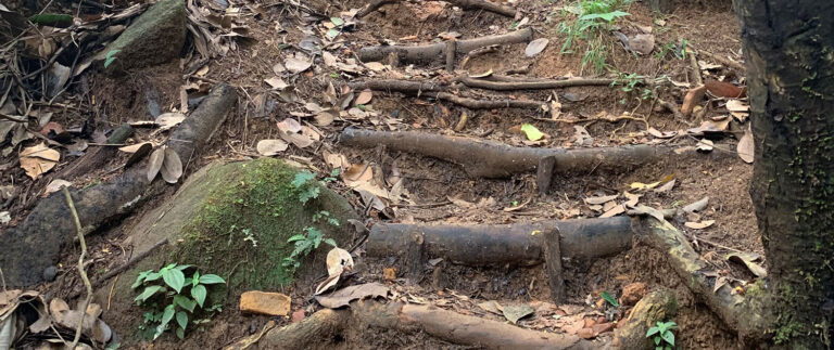 vandagne plant hire company pty limited 768x323