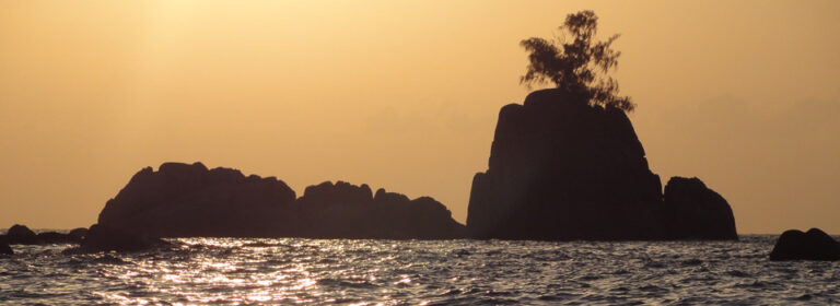 vdl marine services pty ltd 768x280