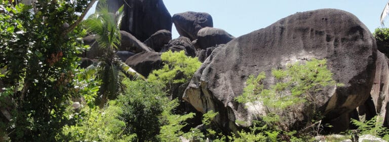 vi miles lodge 768x280