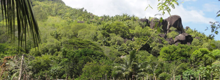 villa baptista beach bungalows 768x280