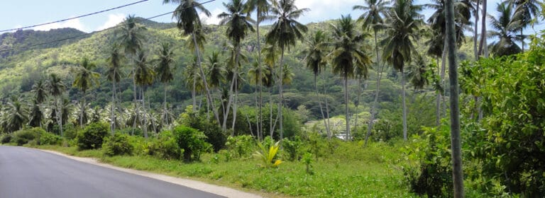 villa belle plage 768x280