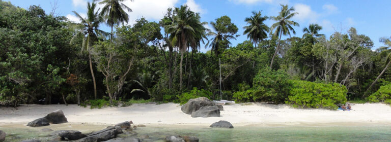 villa kiki 768x280