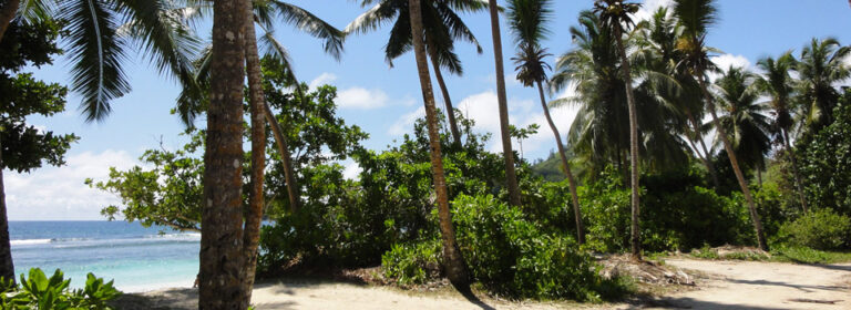 villa la cachette 768x280