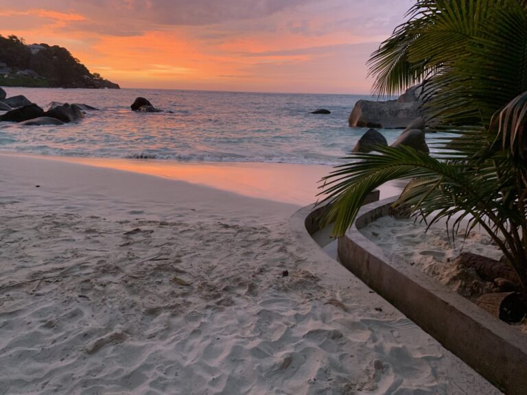 villa veuve la digue 768x576