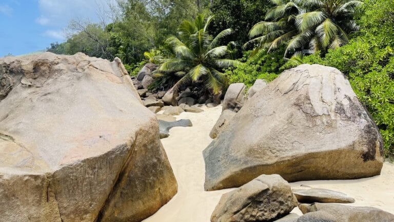 vinayaga impex pty ltd 768x432