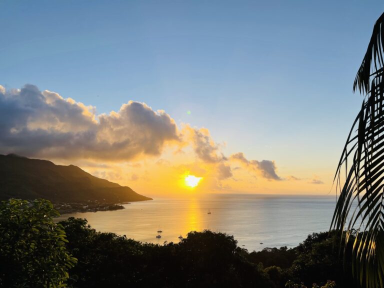 visally trade center proprietary limited 768x576