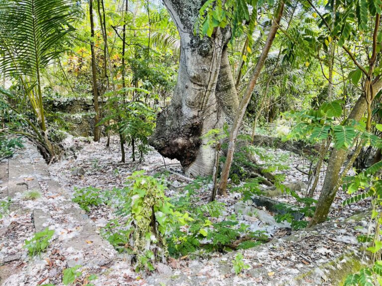 vishnusenan varadharajan 768x576