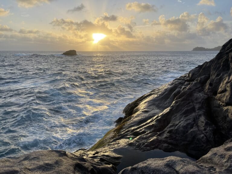 vistra trustee sey ltd 768x576