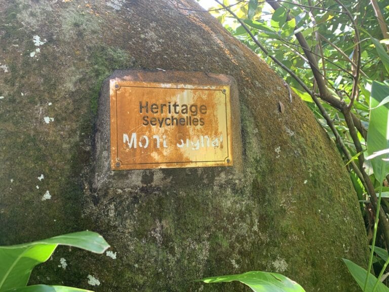 vital pharmacy 768x576