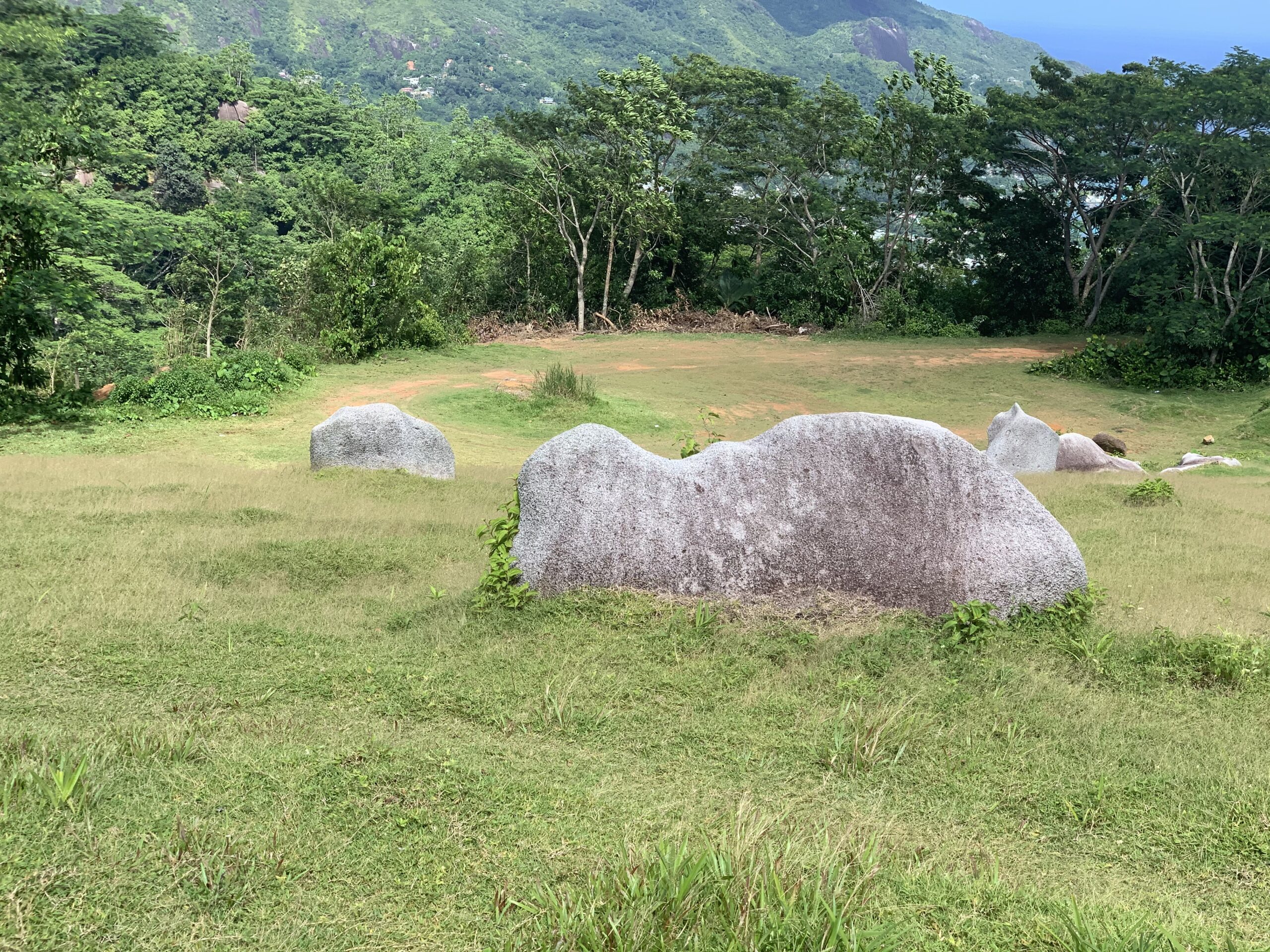 vitality naturopathic centre seychelles