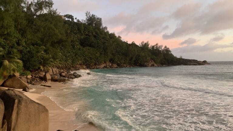 vus trading proprietary limited 768x432