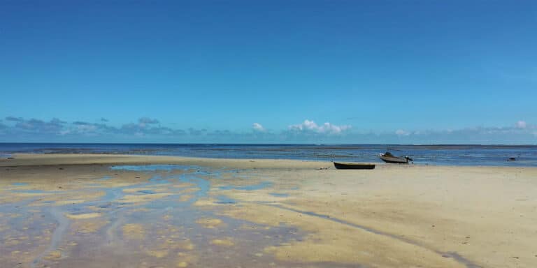 youth and sports department seychelles 768x384