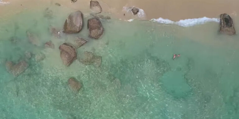 zanfan seychelles 768x384