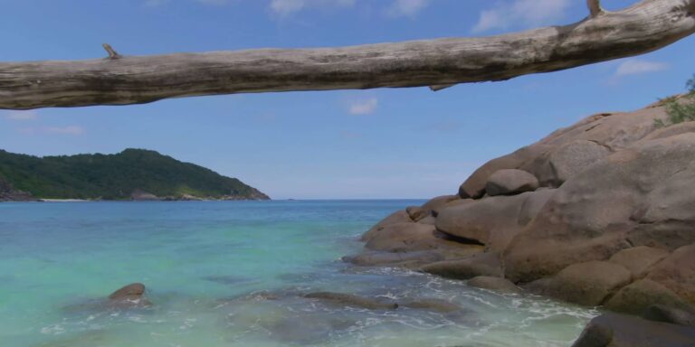 zetland corporate services limited 768x384