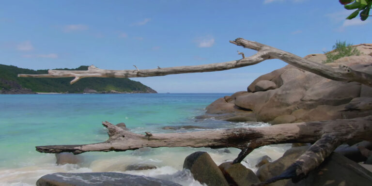 zeus consultancy pty limited 768x384