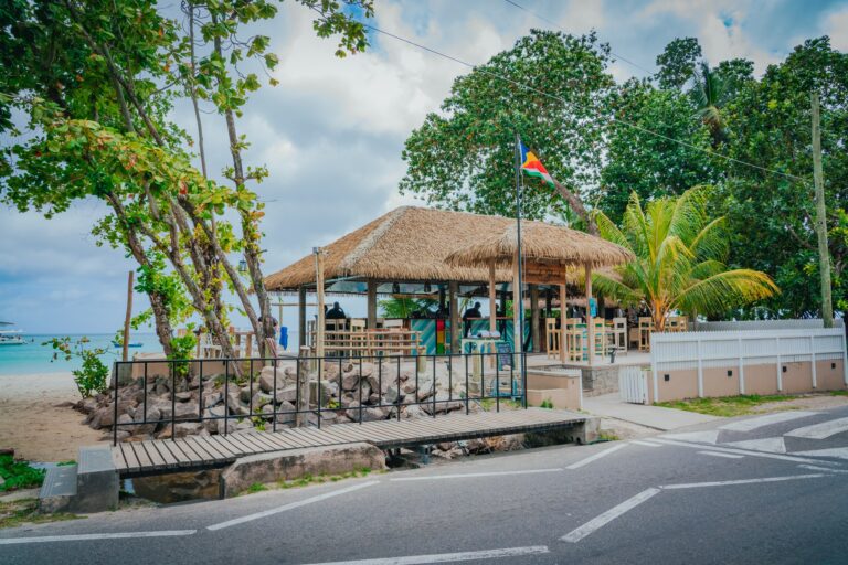 224612405 1213905612368328 5962706607475795893 n 1 768x512