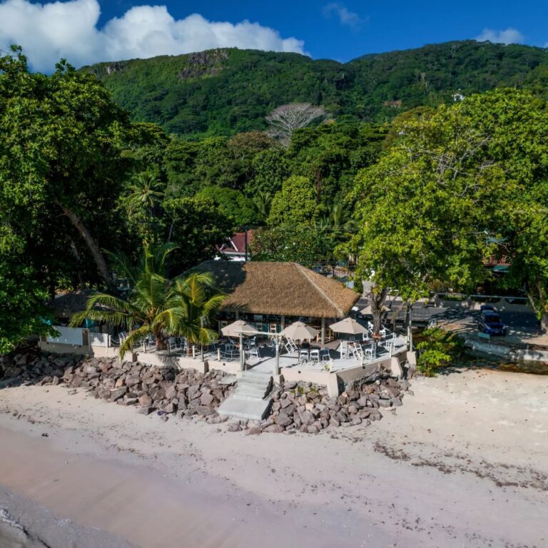 283513258 1412080519217502 5450102356868879462 n 768x768