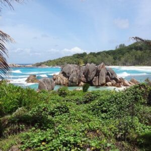 Seychelles Business Register