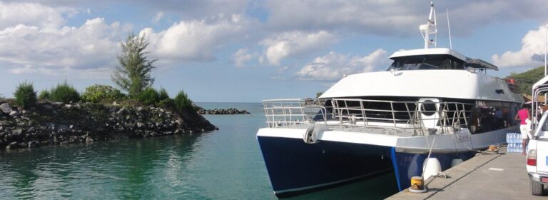 le bon choix decor 768x280