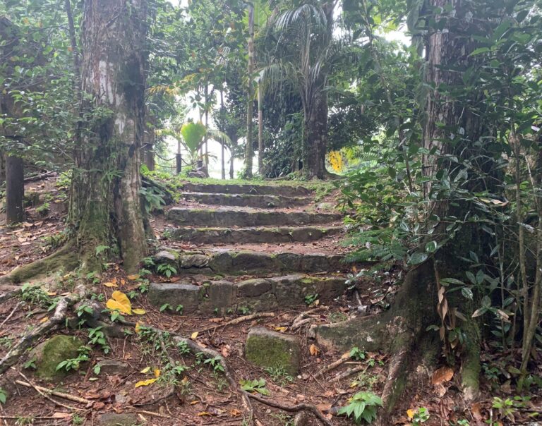 mahe beeworks farm 768x604